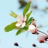 ޻ͷ(18)_WWW.AIGEXING.COM