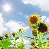 ޻ͷ(22)_WWW.AIGEXING.COM
