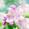 ޻ͷ(14)_WWW.AIGEXING.COM