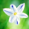 ޻ͷ(11)_WWW.AIGEXING.COM