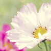 ޻ͷ(20)_WWW.AIGEXING.COM