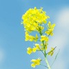 ޻ͷ(24)_WWW.AIGEXING.COM