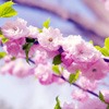޻ͷ(16)_WWW.AIGEXING.COM