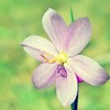 ޻ͷ(27)_WWW.AIGEXING.COM