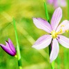 ޻ͷ(17)_WWW.AIGEXING.COM
