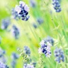 ޻ͷ(33)_WWW.AIGEXING.COM