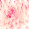 ޻ͷ(31)_WWW.AIGEXING.COM