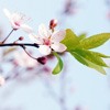 ޻ͷ(19)_WWW.AIGEXING.COM