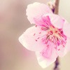 ޻ͷ(29)_WWW.AIGEXING.COM