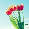 ޻ͷ(36)_WWW.AIGEXING.COM