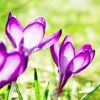 ޻ͷ(6)_WWW.AIGEXING.COM