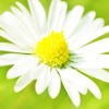 ޻ͷ(21)_WWW.AIGEXING.COM