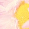 ޻ͷ(30)_WWW.AIGEXING.COM