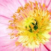 ޻ͷ(13)_WWW.AIGEXING.COM