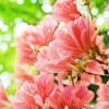 ޻ͷ(8)_WWW.AIGEXING.COM