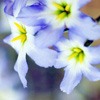 ޻ͷ(9)_WWW.AIGEXING.COM