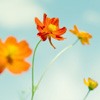 ޻ͷ(25)_WWW.AIGEXING.COM