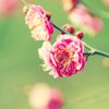 ޻ͷ(26)_WWW.AIGEXING.COM