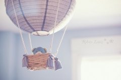 ˸˵˵