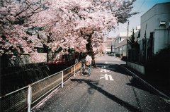 ĬЦǩ