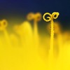 Ψ⾳QQͷ(14)_WWW.AIGEXING.COM