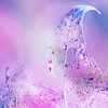 Ψ⾳QQͷ(50)_WWW.AIGEXING.COM