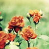 Ψ⾳QQͷ(3)_WWW.AIGEXING.COM