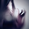 Ψ⾳QQͷ(12)_WWW.AIGEXING.COM