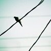 Ψ⾳QQͷ(47)_WWW.AIGEXING.COM