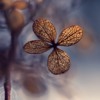 Ψ⾳QQͷ(15)_WWW.AIGEXING.COM