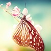 Ψ⾳QQͷ(13)_WWW.AIGEXING.COM