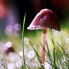 Ψ⾳QQͷ(23)_WWW.AIGEXING.COM