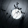 Ψ⾳QQͷ(31)_WWW.AIGEXING.COM