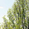 Ψ⾳QQͷ(42)_WWW.AIGEXING.COM