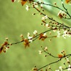 Ψ⾳QQͷ(44)_WWW.AIGEXING.COM