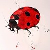 ȻΨQQͷ(17)_WWW.AIGEXING.COM