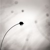 ȻΨQQͷ(21)_WWW.AIGEXING.COM