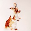 ȻΨQQͷ(9)_WWW.AIGEXING.COM