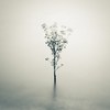 ȻΨQQͷ(15)_WWW.AIGEXING.COM