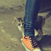 ԷЬQQͷ(31)_WWW.AIGEXING.COM