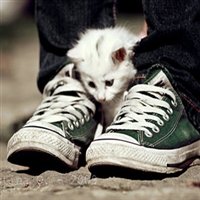 ԷЬQQͷ(27)_WWW.AIGEXING.COM