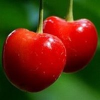 ΨƬͷ(37)_WWW.AIGEXING.COM
