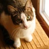 ɰèèQQͷ(13)_WWW.AIGEXING.COM