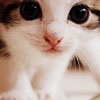 ɰèèQQͷ(14)_WWW.AIGEXING.COM