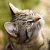 ɰèèQQͷ(3)_WWW.AIGEXING.COM
