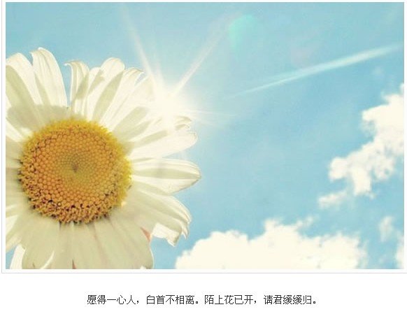 2015Ů(1)_WWW.AIGEXING.COM