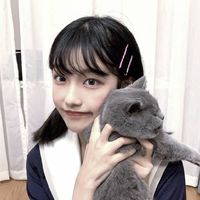 女生影子是狮子的头像(15)