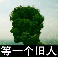 Ըⱻ۸һӵ´ͷ(41)_WWW.AIGEXING.COM