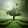 ˸оQQͷ(29)_WWW.AIGEXING.COM