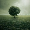 ˸оQQͷ(35)_WWW.AIGEXING.COM